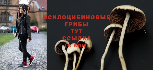 МДМА Инсар