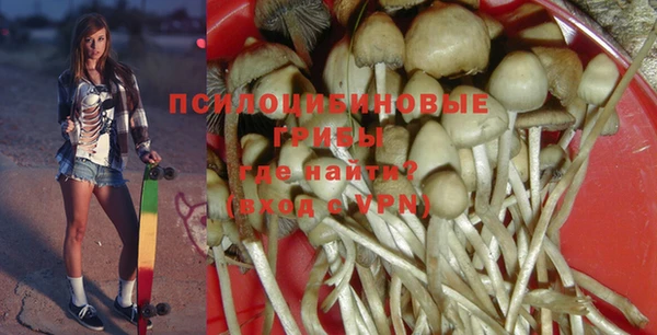 МДМА Инсар