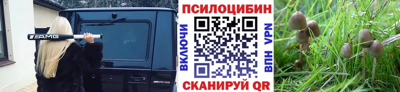 Галлюциногенные грибы Psilocybine cubensis  Купить  Лыткарино 